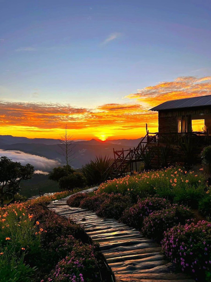 Đà Lạt - Khoảnh khắc đẹp nhất trong ngày chỉ đến khi các bạn dậy từ 4h sáng và chạy 30 cây số 🤣
#checkinvietnam #Travel