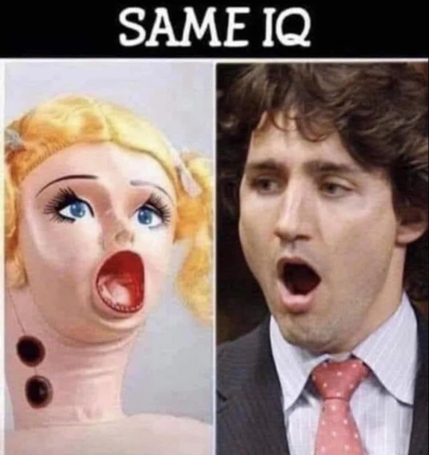 #TrudeauNationalDisgrace #TrudeauBrokeCanada #TrudeauCorruption