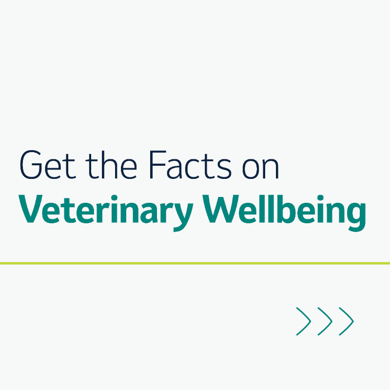 MerckAH's tweet photo. In partnership with the @AVMAvets, our latest Veterinary Wellbeing Study is now available, focusing on the state of wellbeing &amp; mental health of veterinarians &amp; their support staff throughout the nation.