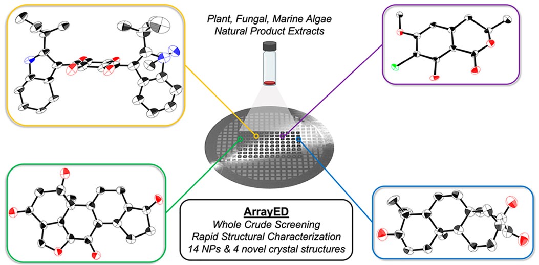 ACSCentSci's tweet photo. High-Throughput Identification of Crystalline Natural Products from Crude Extracts Enabled by Microarray Technology and microED

NEW #ASAP by @TheNelsonLab, @yitang_ucla, @QuaveEthnobot, Julia Kubanek &amp; co-workers
Read it here: https://t.co/OocUpcB76s https://t.co/YRigiBn2R9