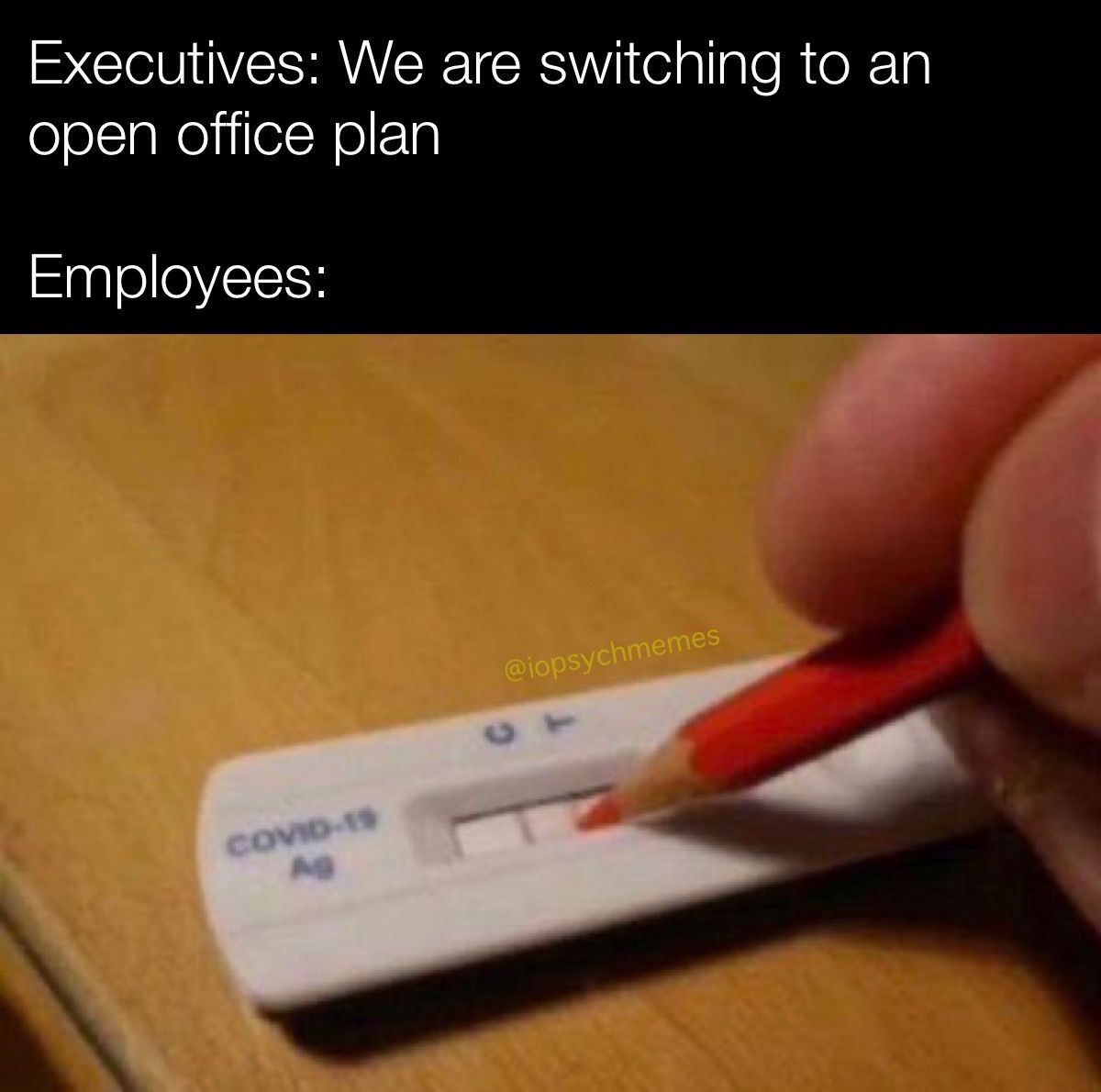 iopsychmemes.bsky.social tweet media
