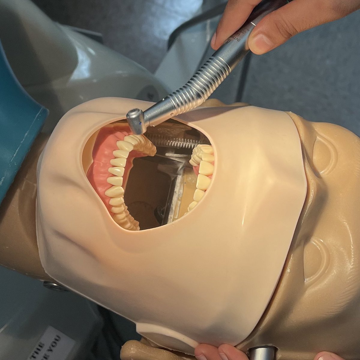 fiivq7's tweet photo. 1sr Resto lab🦷 https://t.co/t6qXwU4hjj