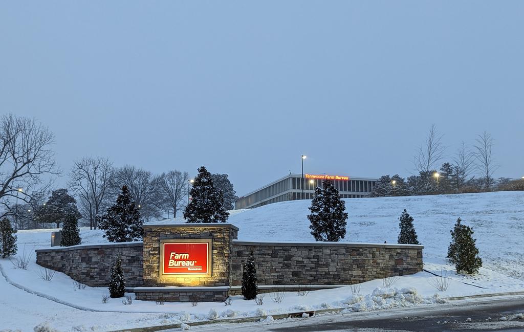 Stay warm today peeps!