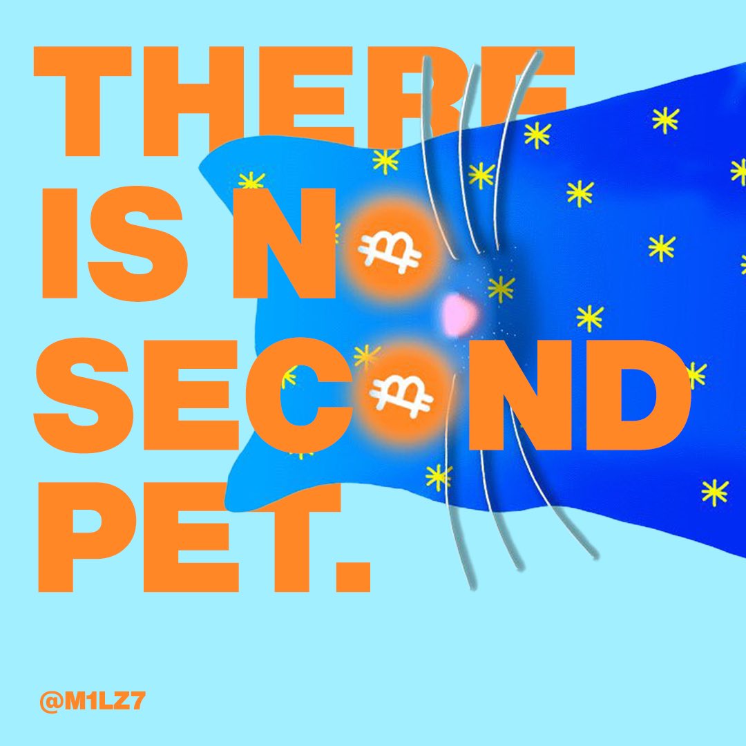 Quantum Cats | BIP-420🐱 tweet media