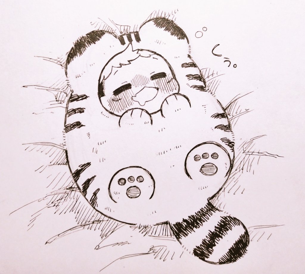 ふわふわ🐯着ぐるみゆじくん すやすやしてます💤