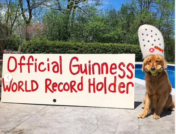 GM

dog told you his croc was big