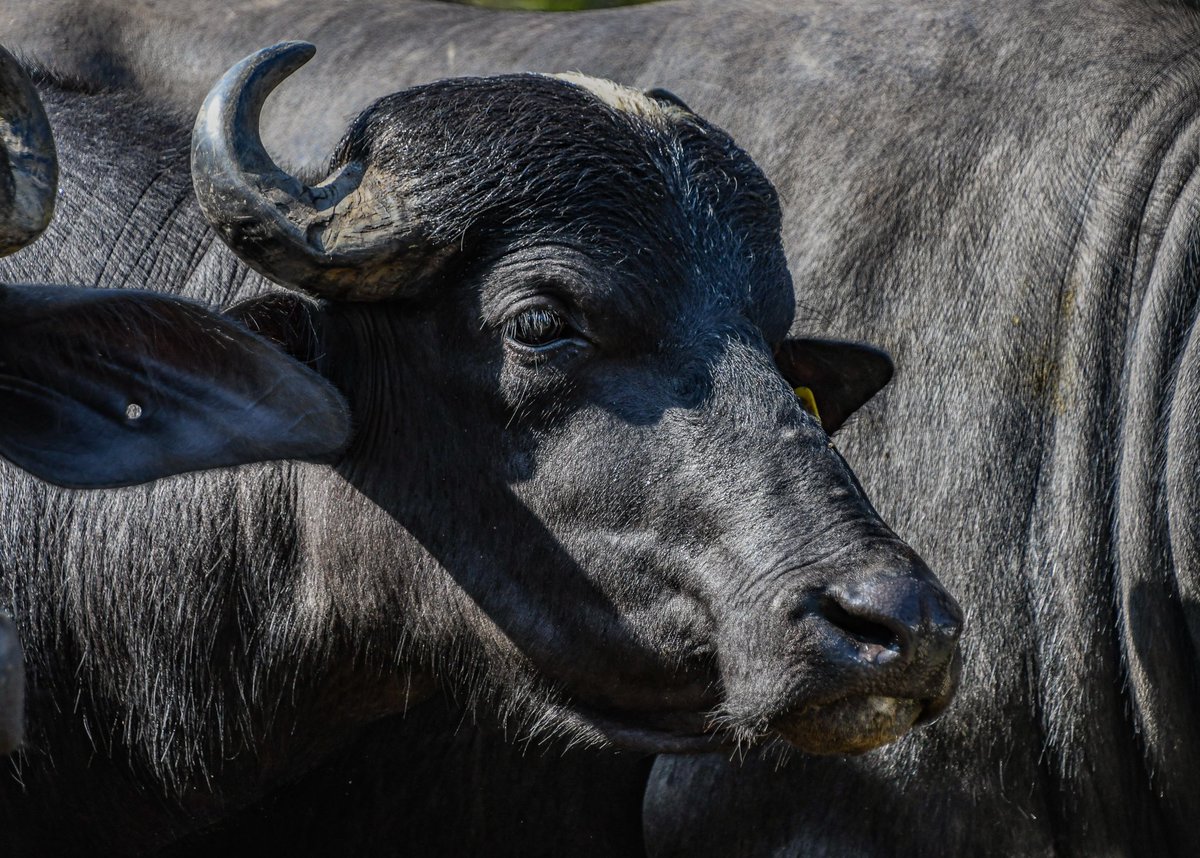 Inicia una nueva semana llena de oportunidades