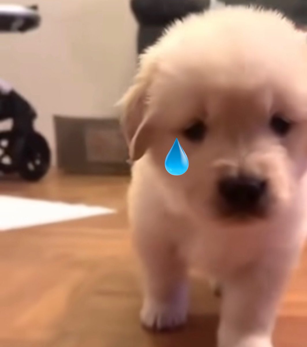 takemybear's tweet photo. ทำไมเทอพุดง่ายจัง คำว่าไม่รัก https://t.co/TgmCmjo1VQ