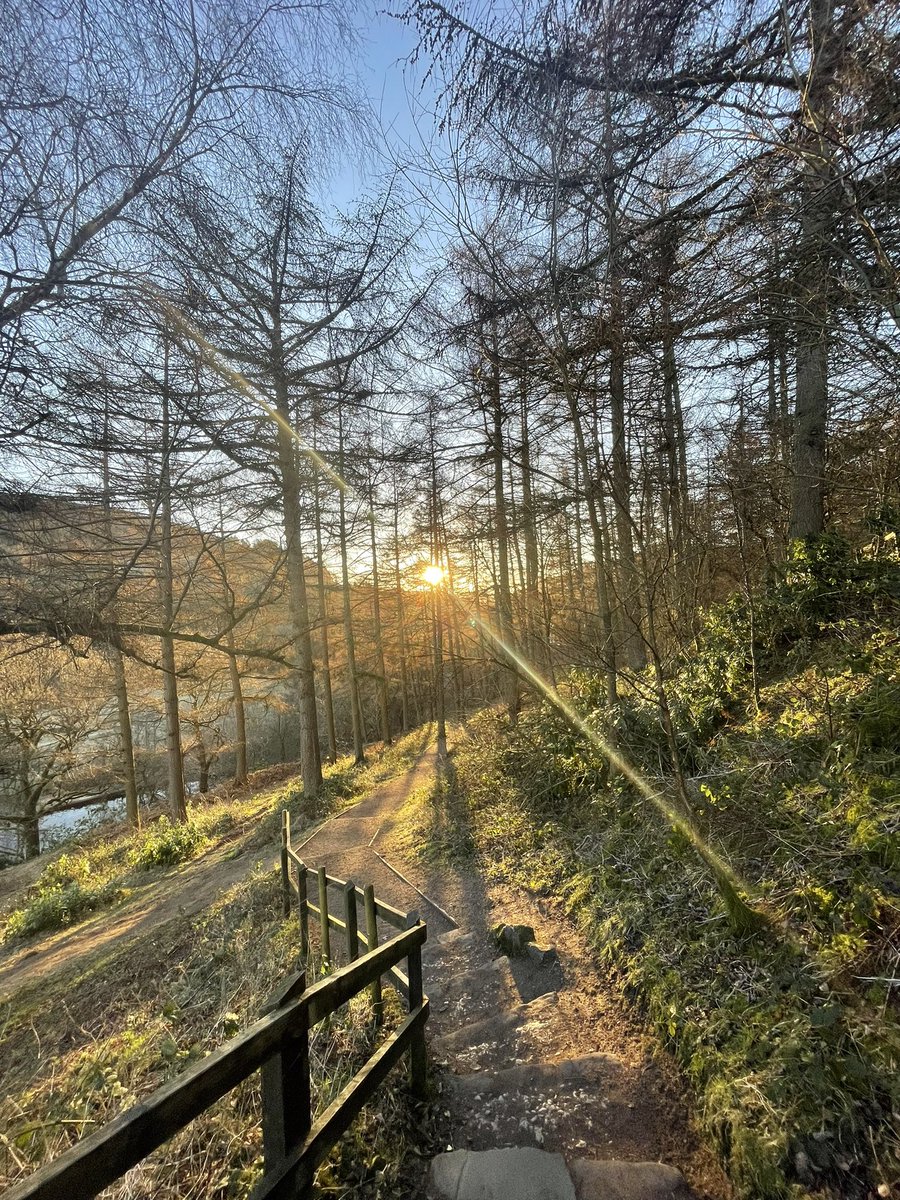 adaml1ndss_'s tweet photo. Derwent Valley wandering in the freezing cold π₯Ά
πDerwent Dam
πLost Lad
πBack Tor
The absolute best weather for it! Completely stuck in the moment.
#PeakDistrict #DerwentEdge https://t.co/47whqFLmYt
