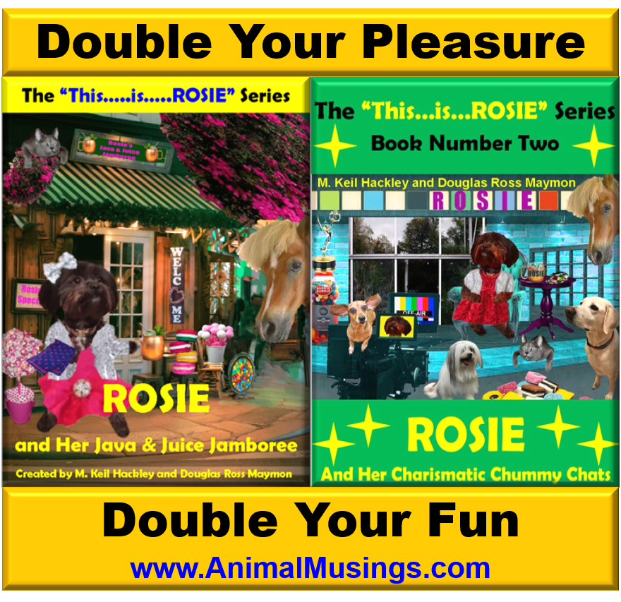 AnimalMusings-where the FUR PALS PRESIDE tweet media