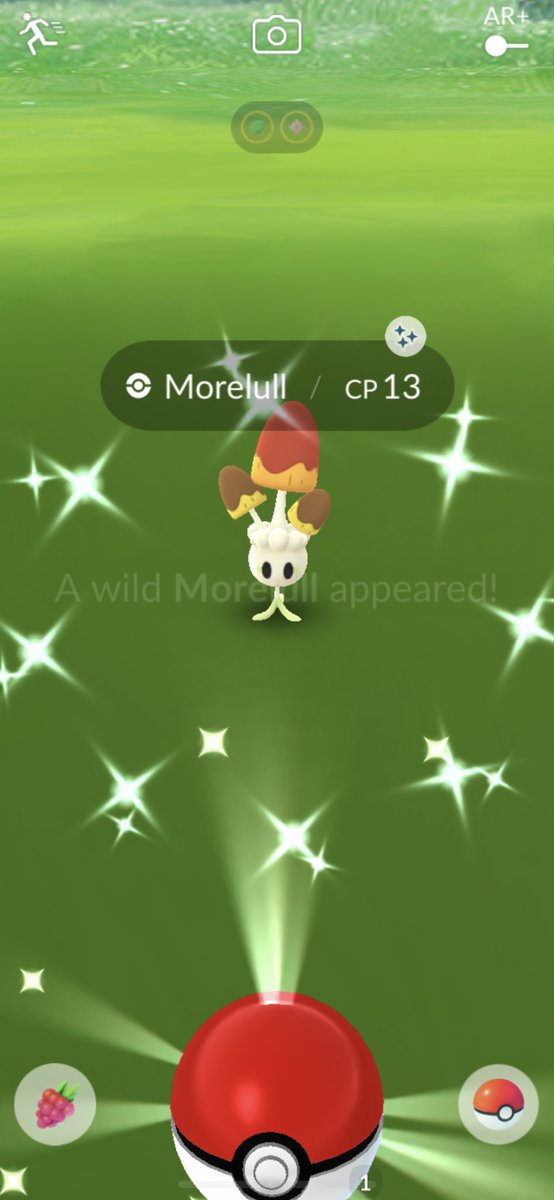 efLxCMKaYcko9C8's tweet photo. Shiny Morelull.

#Japan #pokemongo 
#Pokémongo
#ShinyMorelull
#Shiny Pokémon https://t.co/7Ws8hj3LnJ