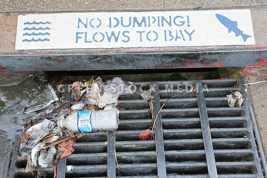 BudaBear/TurtleBear tweet media