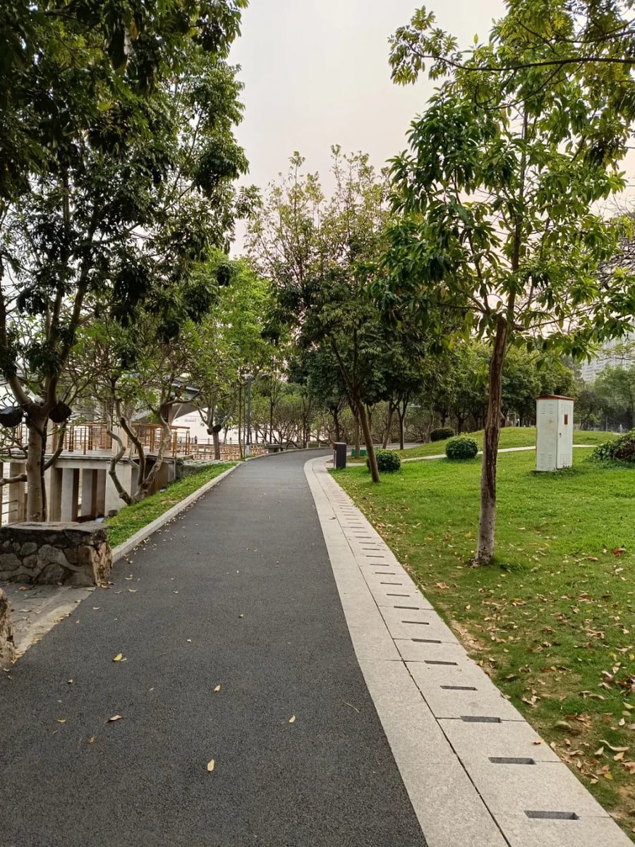 "Early  in the park are pure magic. The peaceful atmosphere, fresh air, and chirping birds make it the perfect time to start your day on a positive note."