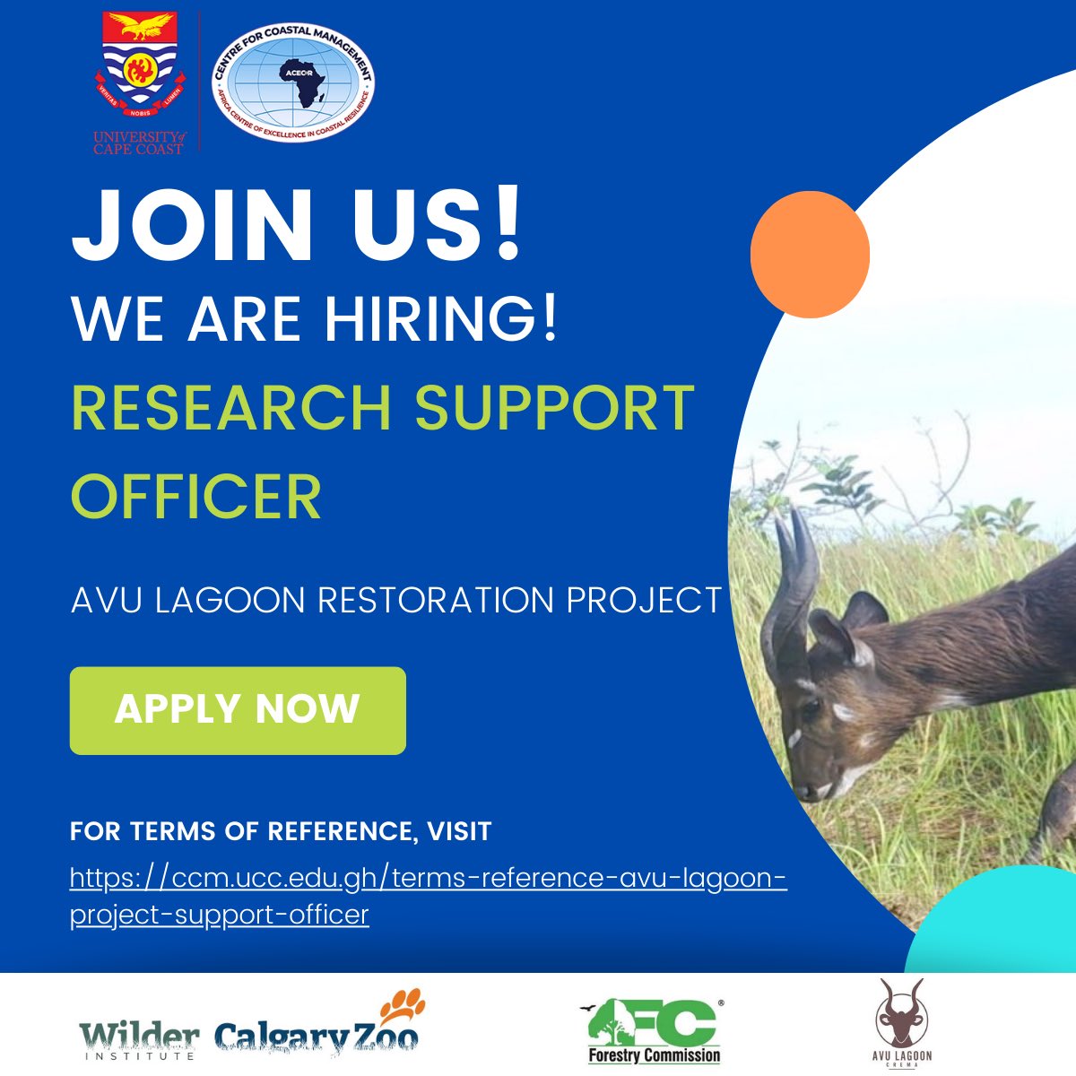 The Avu Lagoon Restoration project through @ccm_ucc is searching for a meticulous and supportive Research Support Officer to join our team. Be part of an exciting project ! Apply today! Click 👇🏽for more information on requirements and how to apply ccm.ucc.edu.gh/terms-referenc…