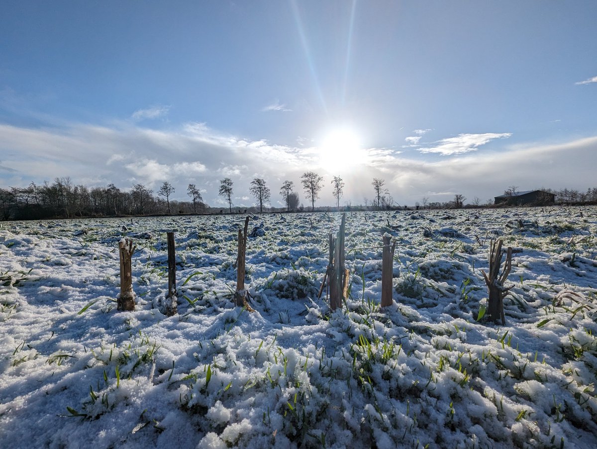 Om kwart voor vijf zometeen begeeft deze Houthideskundige zich op onbekend militair terrein,  voor de rubriek feit of fictie, voor <a href="/EenVandaag/">EenVandaag</a> op <a href="/NPORadio1/">NPO Radio 1</a> terwijl die door de sneeuw wandelt