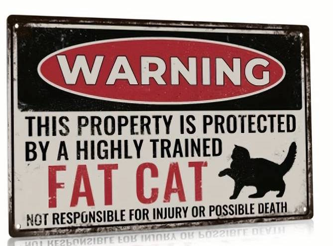 tclynx's tweet photo. Our home is extra protected, I have 5 of them, highly trained to sleep !
#catframes #CatsOfTwitter #cats #cat #catenrichment #catquiz #catoftheday #cattoys #catsofinstagram #kittens #safecat #catenclosure #catmemes #catios #catification #ragdolls #moggie #advert https://t.co/OGl9oKvVUW