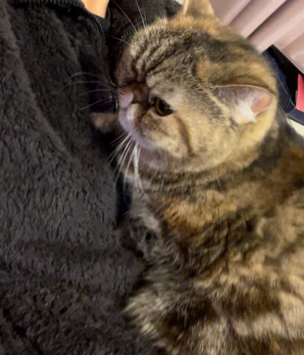 ミーナが上に乗ってきた😍
可愛い🥹🫰