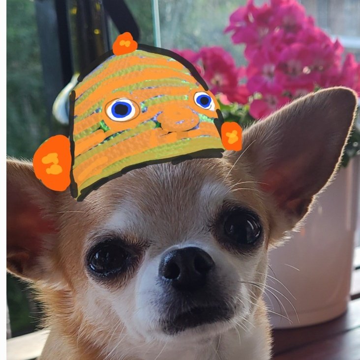 Minniewif(🍑) tweet media