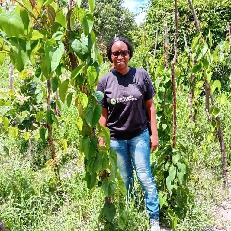 QueenMwangala's tweet photo. Had a pleasure of visiting an organic farm over the weekend. The farmer's passion for #environmentalProtection has helped her transform the land significantly within 1 year of acquiring the land all towards #ClimateActionNow . https://t.co/LRdxbJvLDm
