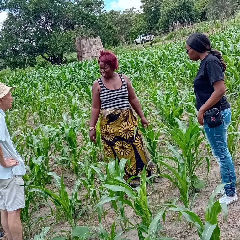 QueenMwangala's tweet photo. Had a pleasure of visiting an organic farm over the weekend. The farmer's passion for #environmentalProtection has helped her transform the land significantly within 1 year of acquiring the land all towards #ClimateActionNow . https://t.co/LRdxbJvLDm