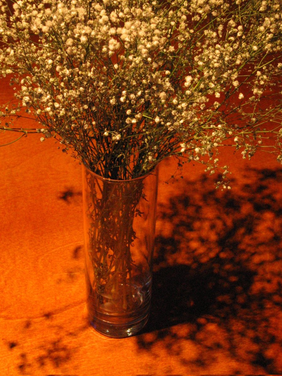 omgamithequeen's tweet photo. des fleurs séchées

#canon powershot s60
#nobadcameras #vscodaily https://t.co/aZOOioxsjW