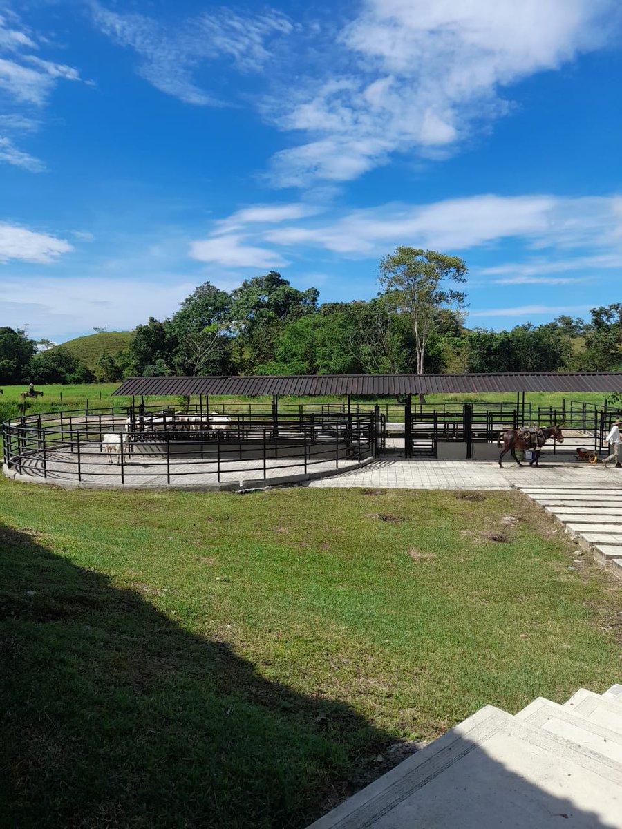 PL_PuertoBoyaca's tweet image. Iniciamos la semana con toda la actitud y trabajando en lo que nos gusta☝
#ConstruyendoProgreso
#OrgullosamenteGanaderos

@Fedegan 
@jflafaurie 
@Pl_ipiales_FNG