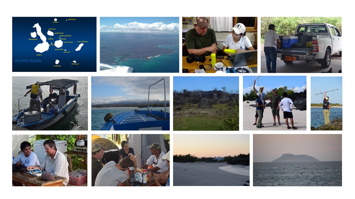 Jon Houghton tweet media