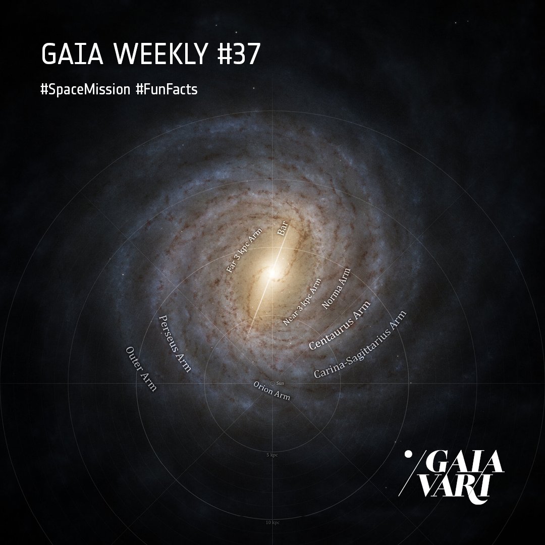 GaiaVari's tweet image. Through the lens of ESA's Gaia mission, we gain a new perspective on our galaxy. In this most recent updated image 📸, Gaia's precise measurements enable scientists to model captivating top-down views of the Milky Way. In this image youc an see the grand spiral structure.💫