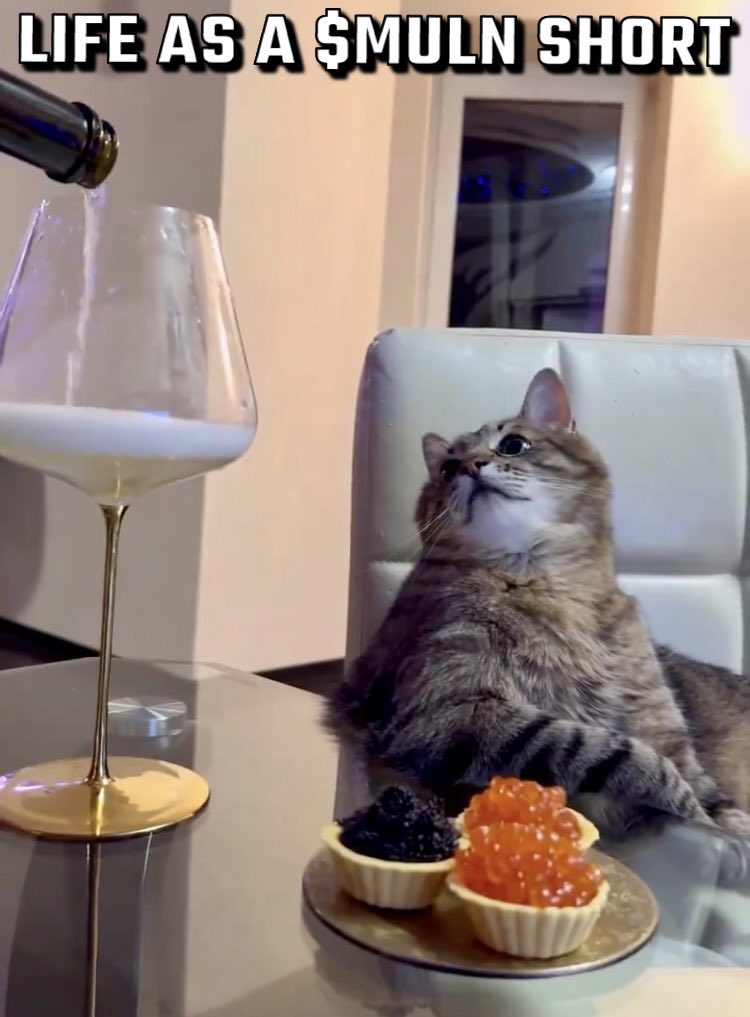 W.F.U.D. STUDIOS tweet media