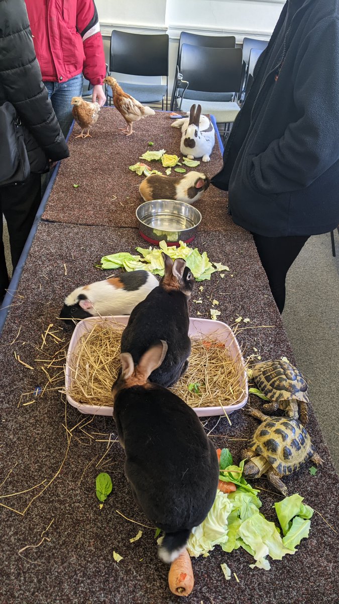 Well done RUMS Welfare team for organising such a fantastic student event with Ark Farm to beat Blue Monday as part of Welfare Week 2024. Cuteness overload! @RumsUnion