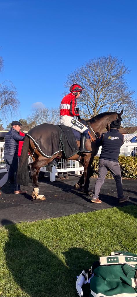 Billy Boi Blue takes the win wearing #Equishox today at Hereford 🐎 @kandm_racing @RacingPost @BHAHorseracing