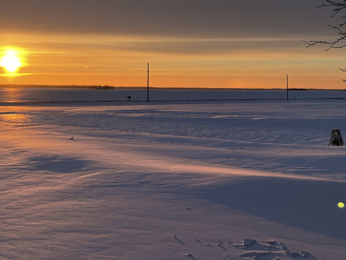 Shay Foulk tweet media