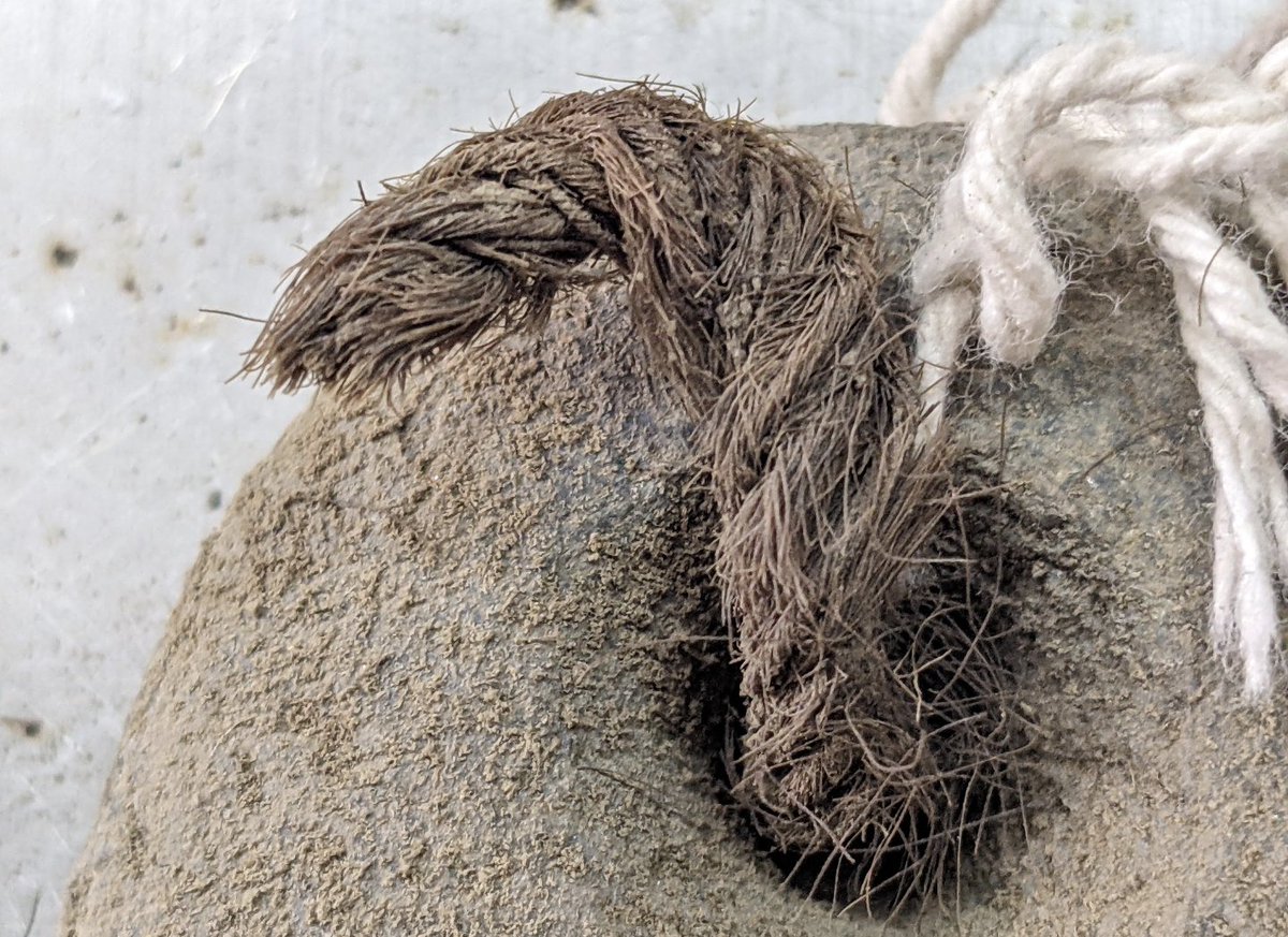 SAA Student Affairs Committee tweet media