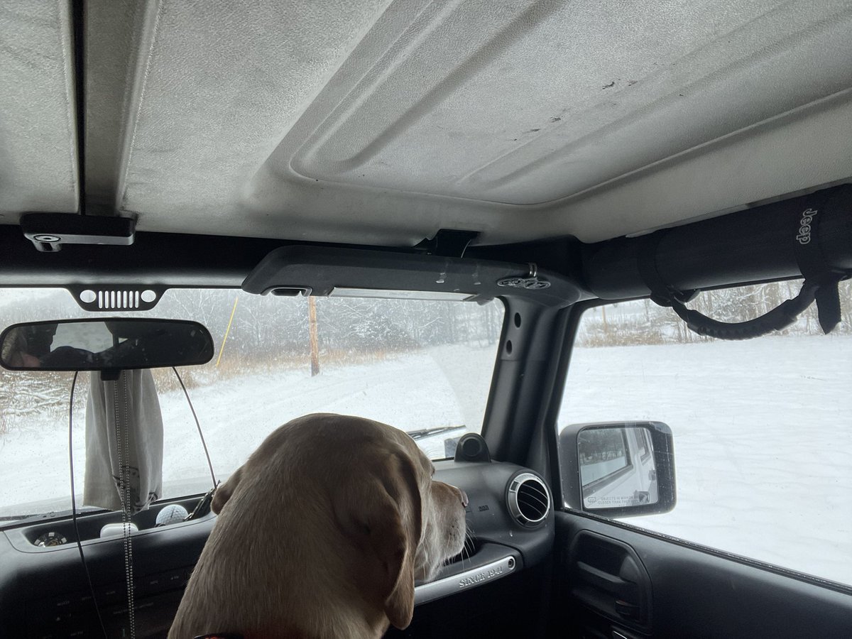 29kyle29's tweet photo. @AddisSaltyDog How are things your way my friend?! Itโs been hitting hard here but canโt resist a ride #Kodyapproved #jeepfun https://t.co/gfLvQ2cRNy
