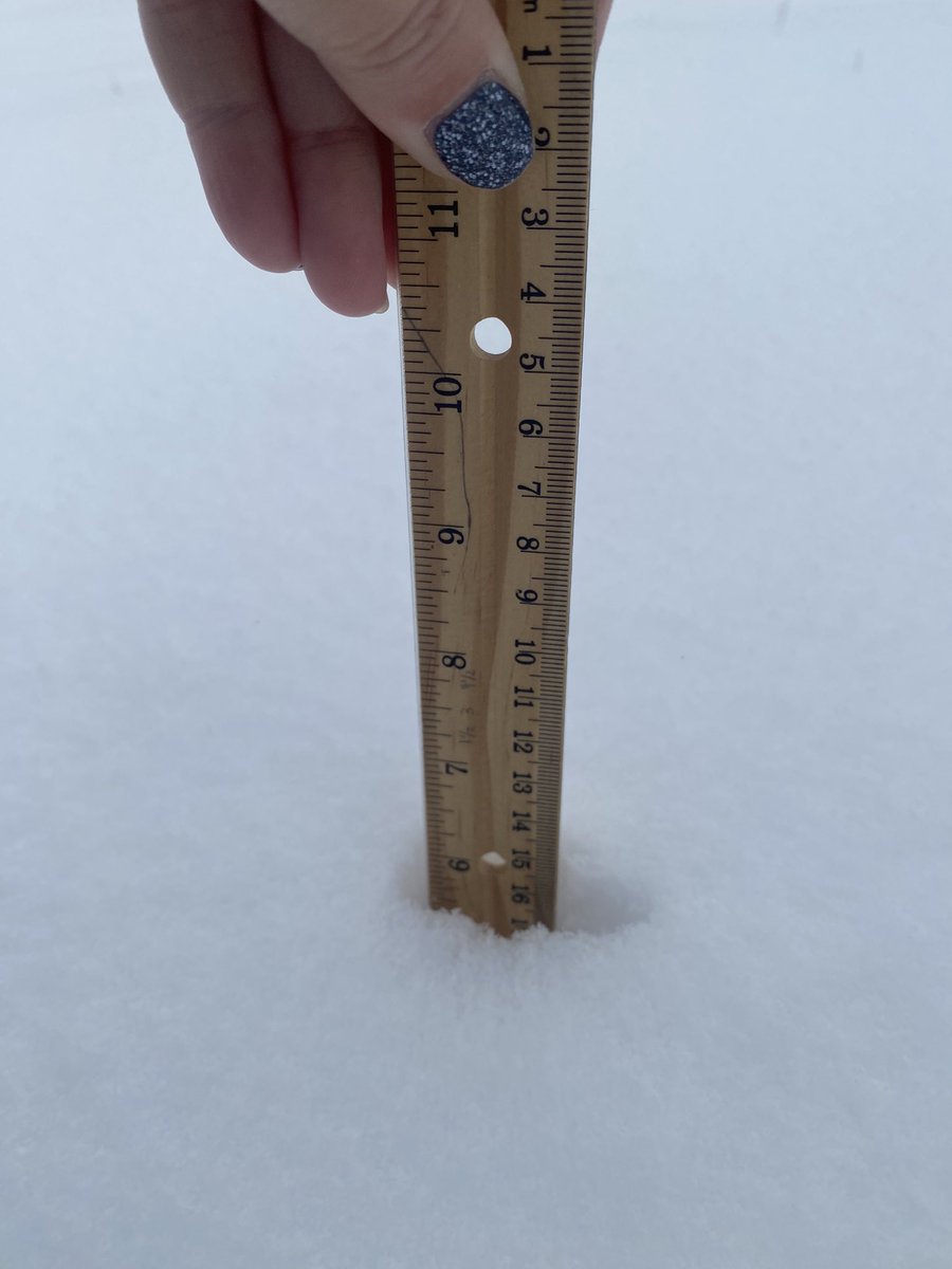 Cami Alexander tweet media