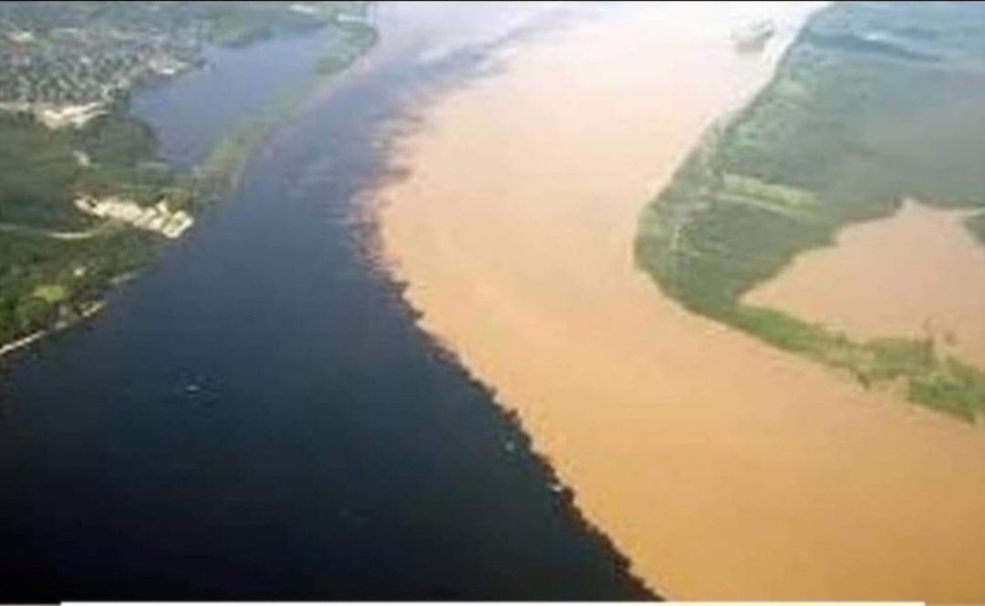 A turba esquerdopata está preparando para processar o Rio Solimões por "racismo ambiental" por não se misturar com o rio negro.