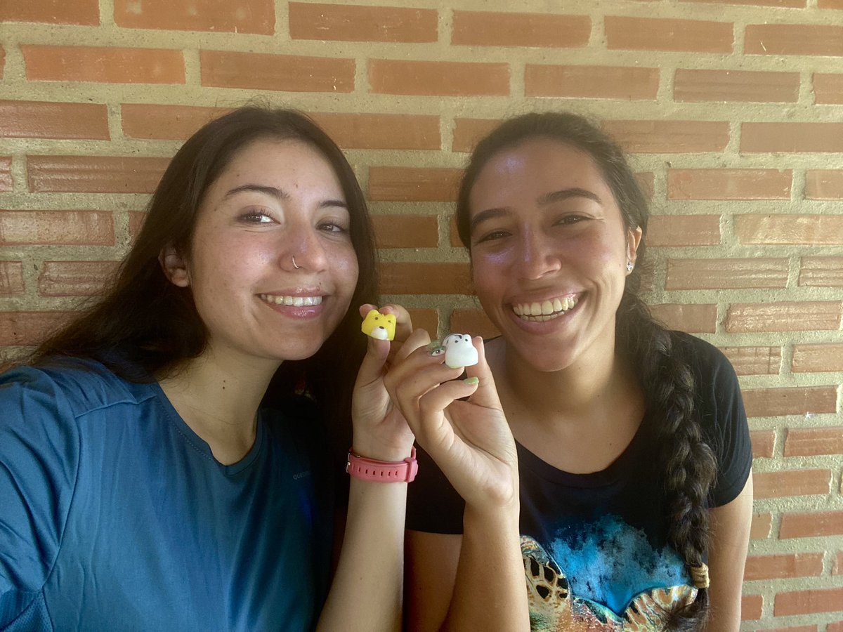 _andreasaurus_'s tweet photo. Today at our Communication Lecture on @EDGEofExistence Tool Course at Parque Estadual do Rio Doce, Brazil with the 2024 Latin America cohort and a Biodiversity Squishy π
#EDGEofExistence #EDGEToolsCourse2024 #CommunicationLecture
#BiodiversitySquishy
#Brazil https://t.co/64rs4ILH6J