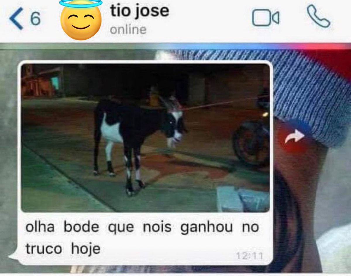 shitpostverdade's tweet photo. https://t.co/IDKPpsgb7E