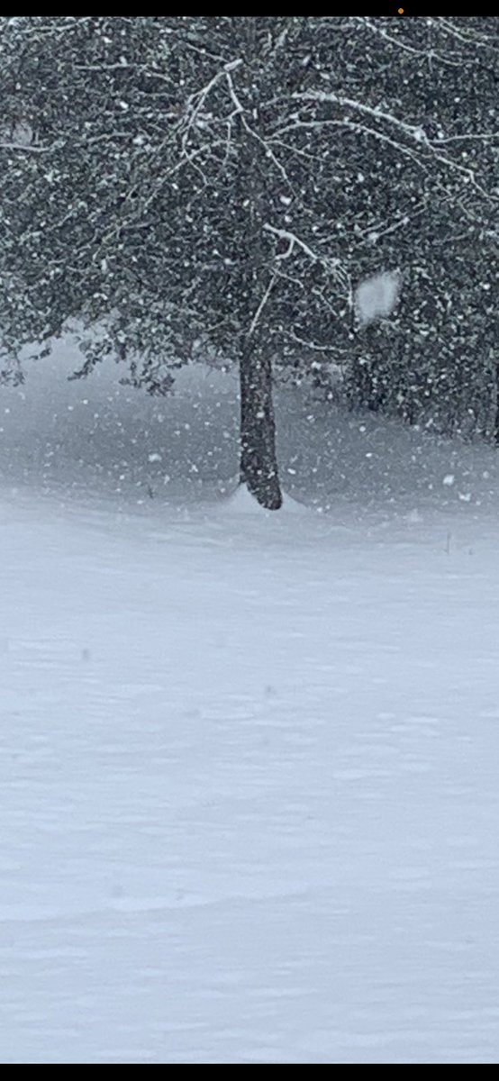 robinnel23's tweet photo. @WBIRWeather come to Strawberry Plains, Carter School are! We have your snow! https://t.co/VG0NlgFOZk
