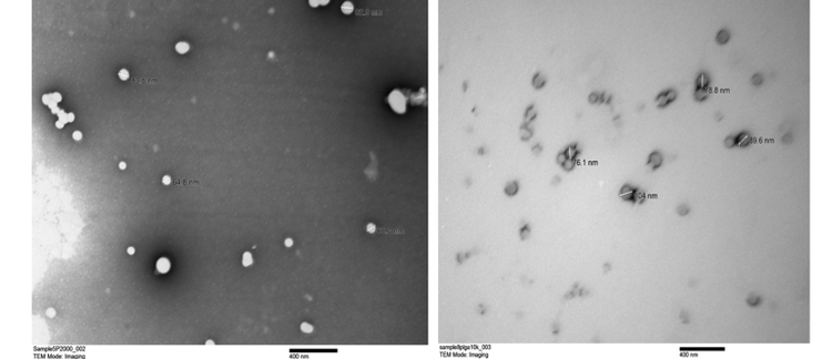 bjpharmacy's tweet photo. Impact of molecular weight of polyethylene glycol on physicochemical characteristics of polymeric nanoparticles encapsulating pimozide. https://t.co/d0r6WyuhT2 https://t.co/nps3l3DdFR