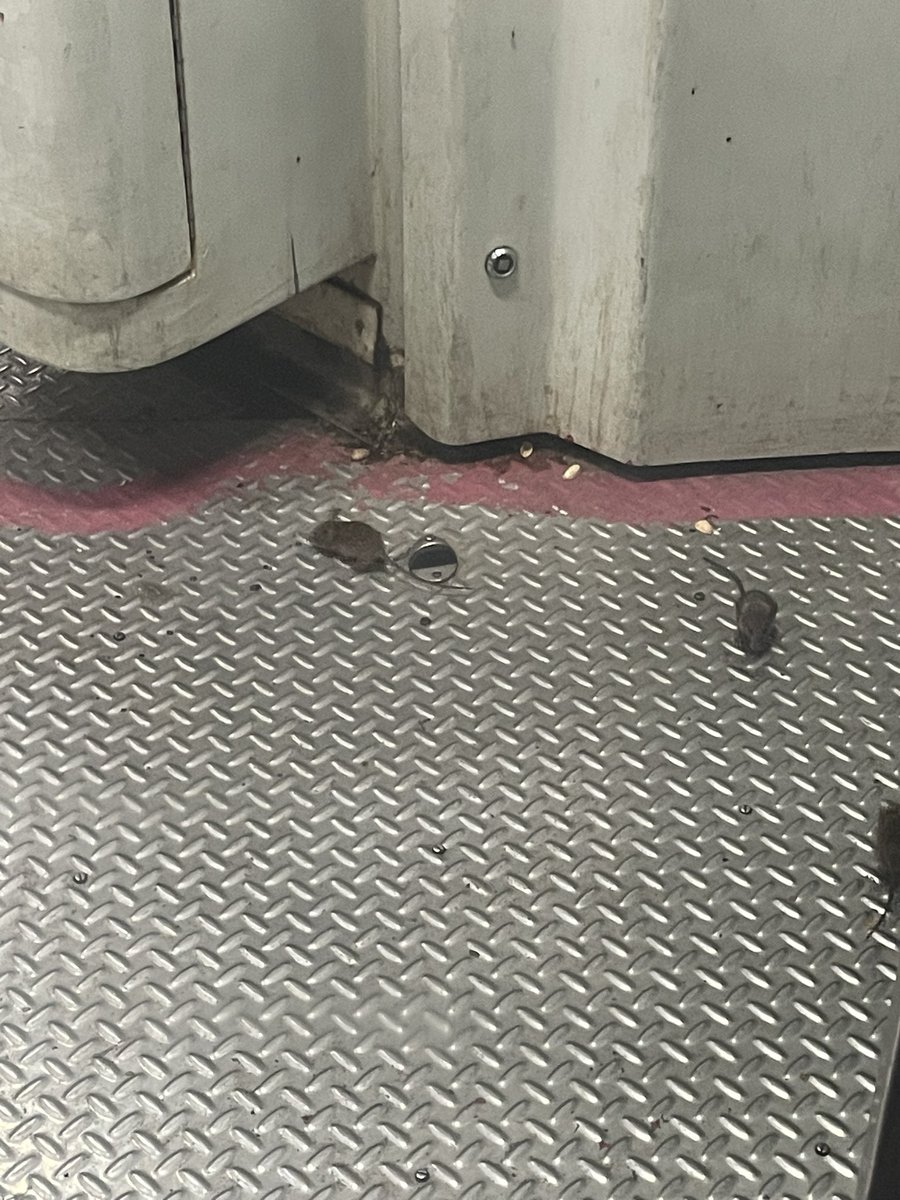 i_mskd's tweet photo. Travelling today in Visakha Express 17015 and we are not the only passengers here.
If this is the scene in A4 (2-AC) then what will be the situation in Sleeper and Unreserved coaches.
Please take this seriously.
@IRCTCofficial @RailMinIndia @RailwaySeva @AshwiniVaishnaw https://t.co/xgadUZrSjP