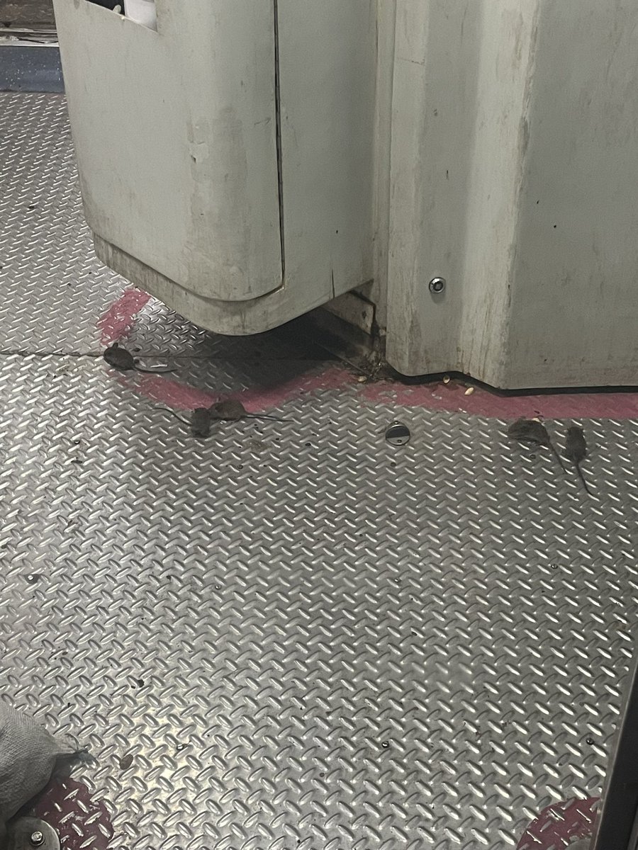 i_mskd's tweet photo. Travelling today in Visakha Express 17015 and we are not the only passengers here.
If this is the scene in A4 (2-AC) then what will be the situation in Sleeper and Unreserved coaches.
Please take this seriously.
@IRCTCofficial @RailMinIndia @RailwaySeva @AshwiniVaishnaw https://t.co/xgadUZrSjP
