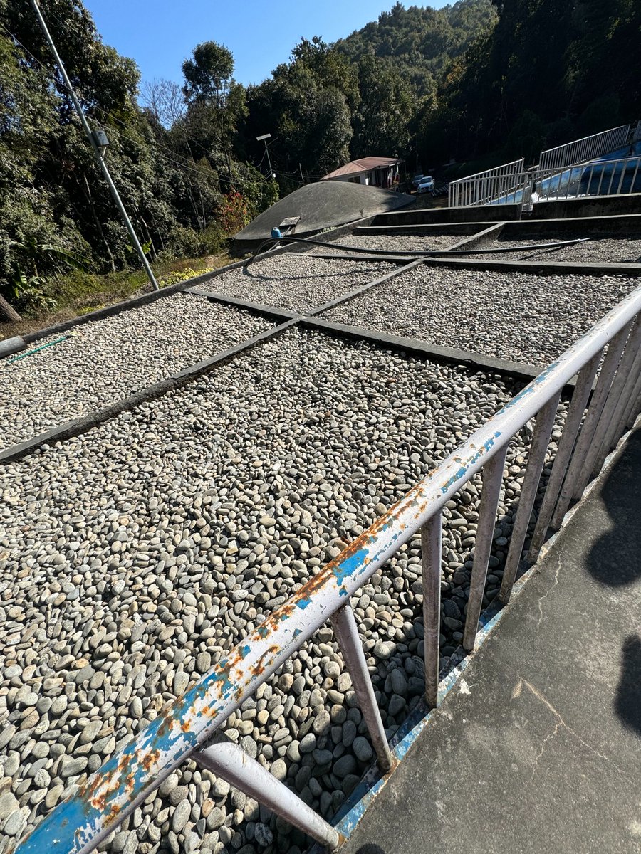 UMD Global STEWARDS tweet media