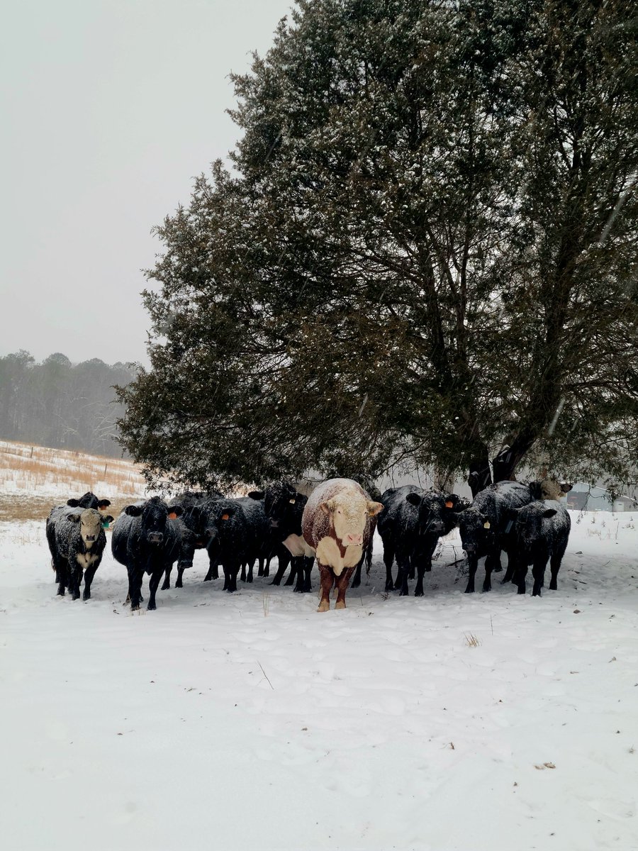 Billy Tucker tweet media