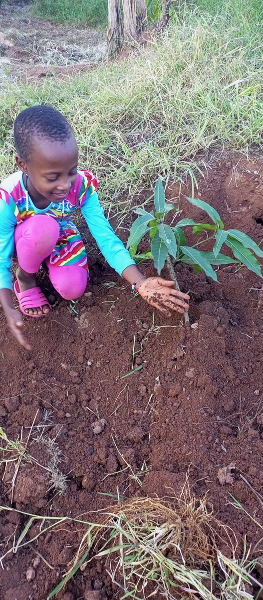 bakora_moses's tweet image. The Time Is Always Right To Do What Is Right; Plant A Tree Today! ⁦@AquaTreeProject⁩
#AquaTreeProject #PlantATreeToday.