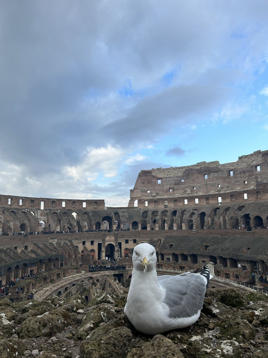mkhtl0's tweet photo. 🇮🇹🇮🇹 https://t.co/swob6oLRq5