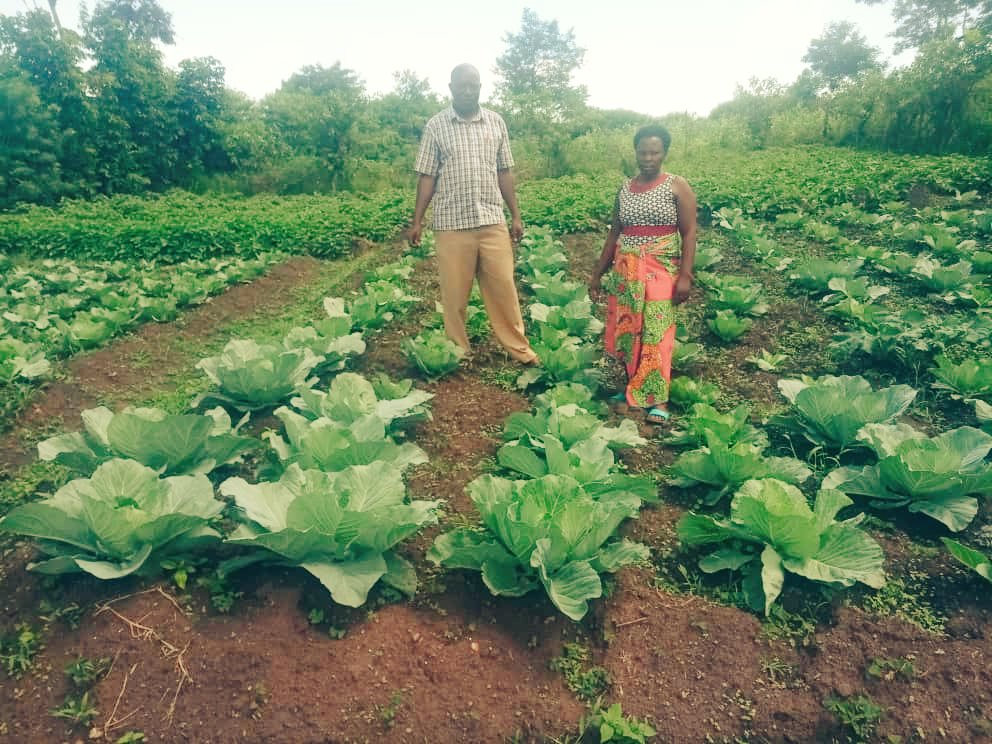 Empowering care givers through promotion of sustainable nutrition at household and school level. Learners  can't comprehend what is thought in class on an empty stomach. #2024actionyear