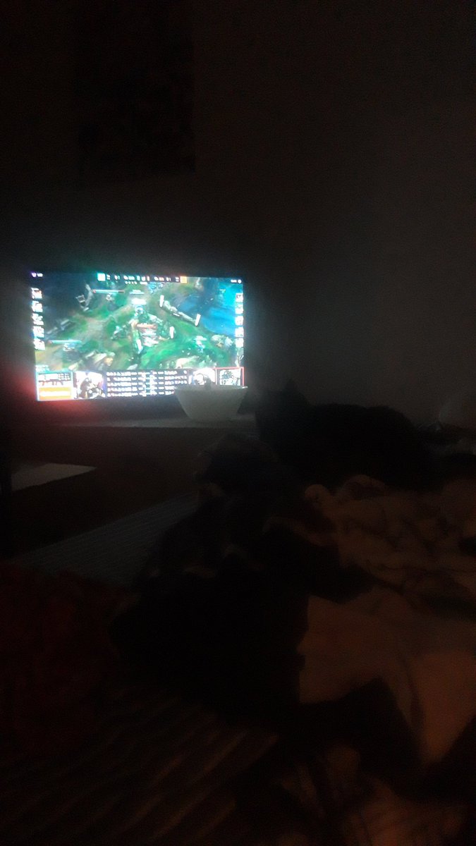 Elle apprend des pros pour slay la S14 en ranked c'est bien mon chat