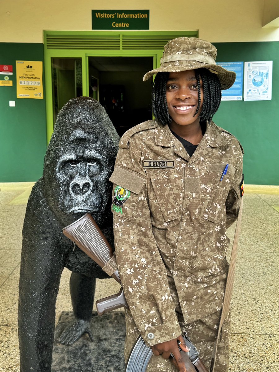birddetectiveTR's tweet photo. Uganda’da gorilleri koruyan bir orman korucusu. Sıkıntılı bir durumda, gorillere zarar verecek biri olduğunda insanı vurma yetkisi var. https://t.co/cErJOtNHlt