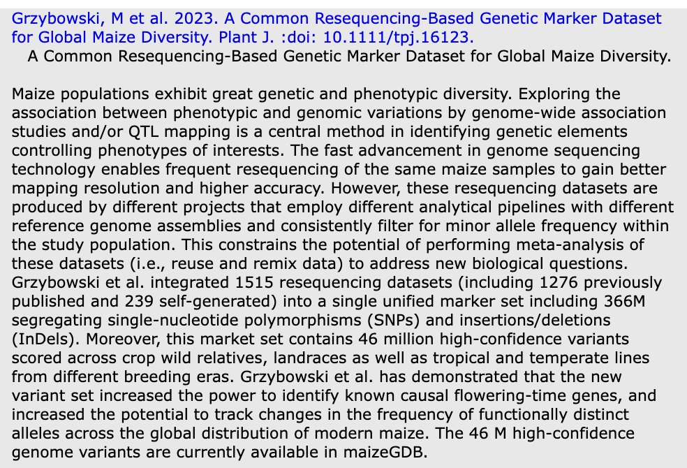 szintri's tweet photo. Our resequencing for a common maize genetic marker dataset paper selected as a MaizeGDB Editorial Board pick! Specifically calls out how this enable "remixing and reuse" of genetic and phenotypic trait data. 😀@MarcinGrzy @ThePlantJournal  https://t.co/3WmOY1jH7q https://t.co/E0OTxEHuLy